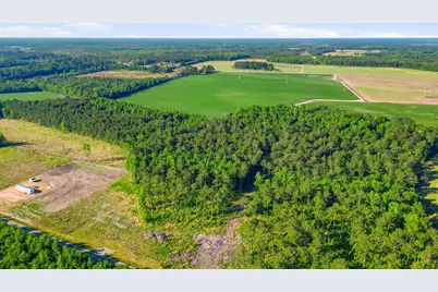 Tbd Sawyer Rd., Marion, SC 29571 - Photo 4