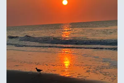 2401 S Ocean Blvd. #1170, Myrtle Beach, SC 29577 - Photo 62