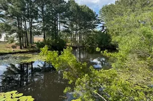3950 Mayfield Dr, Conway, SC 29526 - Photo 26