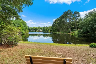 115 Coleman Ct., Pawleys Island, SC 29585 - Photo 78