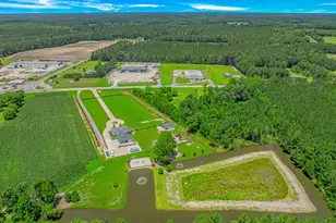 15810 County Line Rd, Andrews, SC 29510 - Photo 6