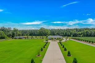 15810 County Line Rd, Andrews, SC 29510 - Photo 2