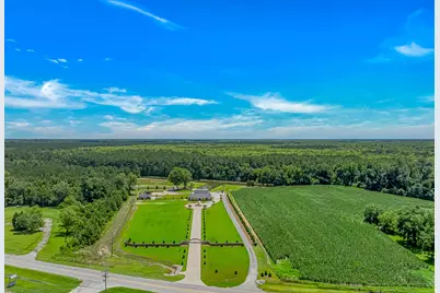 15810 County Line Rd., Andrews, SC 29510 - Photo 34