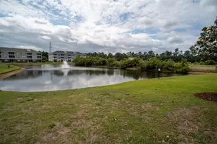 300 Kiskadee Loop, Conway, SC 29526 - Photo 84