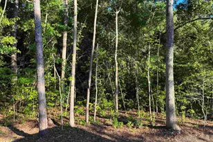 2252 Starduster Ln, Little River, SC 29566 - Photo 14