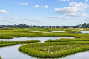 135 S Dunes Dr, Pawleys Island, SC 29585 - Photo 62