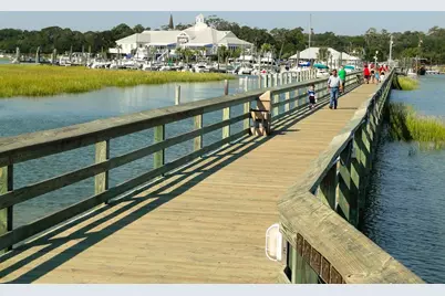 103 Hagar Brown Rd., Murrells Inlet, SC 29576 - Photo 88