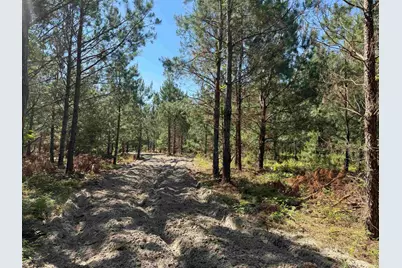 43 Acres - 5432 Juneburn Rd., Manning, SC 29102 - Photo 2