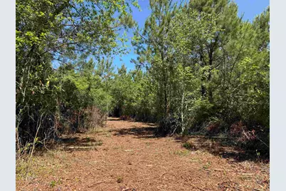 43 Acres - 5432 Juneburn Rd., Manning, SC 29102 - Photo 8