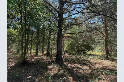 43 Acres - 5432 Juneburn Rd., Manning, SC 29102 - Photo 30
