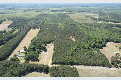43 Acres - 5432 Juneburn Rd., Manning, SC 29102 - Photo 12