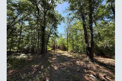 43 Acres - 5432 Juneburn Rd., Manning, SC 29102 - Photo 6