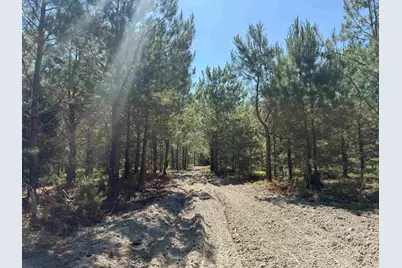 43 Acres - 5432 Juneburn Rd., Manning, SC 29102 - Photo 4