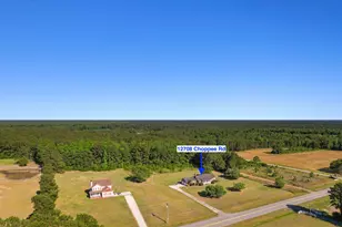 12708 Choppee Rd, Hemingway, SC 29554 - Photo 38