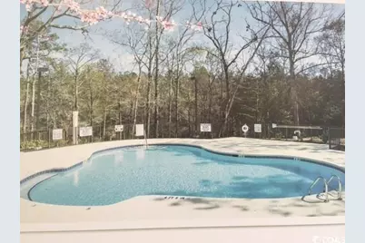 1069 Cherrystone Loop, Conway, SC 29526 - Photo 30