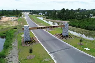 9021 Polar Bear Way, Conway, SC 29526 - Photo 22