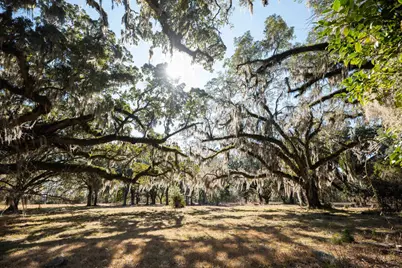 1939 Mauricena Rd., Georgetown, SC 29440 - Photo 8