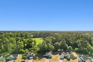 193 Cottage Creek Cir, Conway, SC 29526 - Photo 36