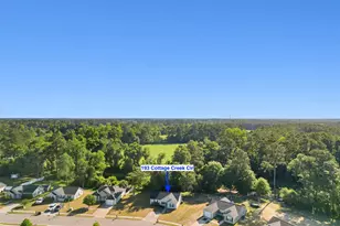 193 Cottage Creek Cir, Conway, SC 29526 - Photo 30