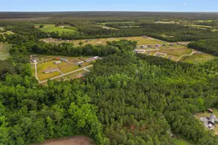5217 Hwy 712, Galivants Ferry, SC 29544 - Photo 36