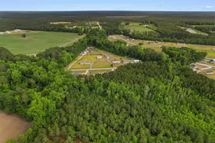5217 Hwy 712, Galivants Ferry, SC 29544 - Photo 38