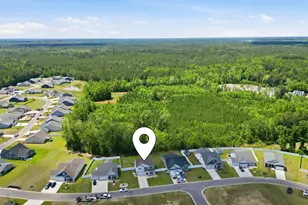 124 Little Cedar Dr, Loris, SC 29569 - Photo 40