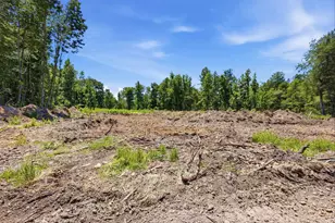 1375 N Old Georgetown Rd, Lake City, SC 29560 - Photo 38