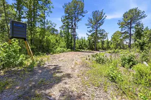 1375 N Old Georgetown Rd, Lake City, SC 29560 - Photo 36