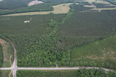17.8 Acres-5871 Pennyroyal Rd., Georgetown, SC 29440 - Photo 14
