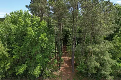 17.8 Acres-5871 Pennyroyal Rd., Georgetown, SC 29440 - Photo 6
