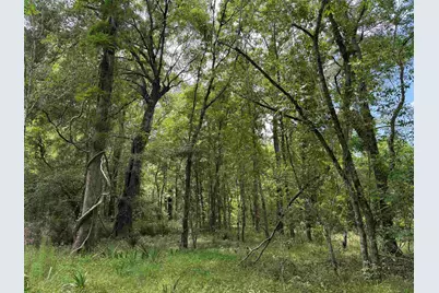 17.8 Acres-5871 Pennyroyal Rd., Georgetown, SC 29440 - Photo 4