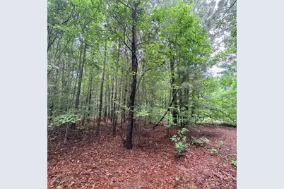 1660 Nathan Dr., Loris, SC 29569 - Photo 46