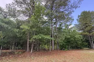 1660 Nathan Dr, Loris, SC 29569 - Photo 48