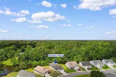 503 Grain Field Dr., Georgetown, SC 29440 - Photo 40