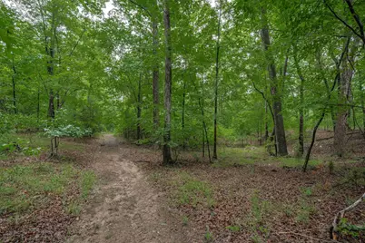 565 Portia Rd, Blythewood, SC 29016 - Photo 58