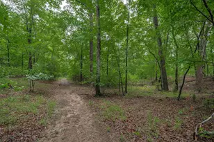 565 Portia Rd, Blythewood, SC 29016 - Photo 58