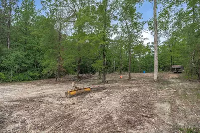 565 Portia Rd, Blythewood, SC 29016 - Photo 54