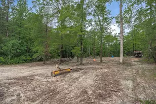 565 Portia Rd, Blythewood, SC 29016 - Photo 54