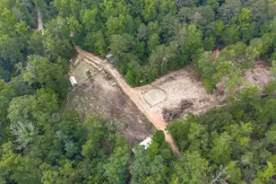 565 Portia Rd, Blythewood, SC 29016 - Photo 66