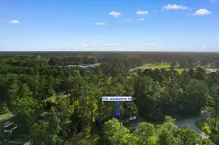 106 Jessamine St, Andrews, SC 29510 - Photo 40