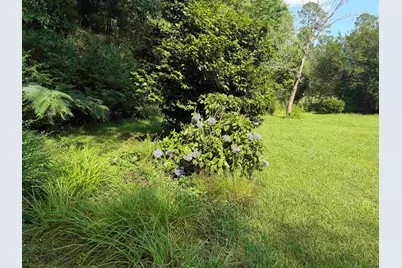 3240 Mount Olive Rd., Loris, SC 29569 - Photo 36