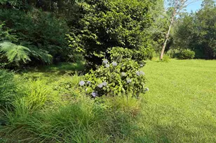 3240 Mt Olive Rd, Loris, SC 29569 - Photo 36