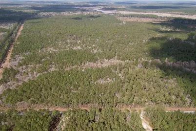 Tract B - Tbd Pennyroyal Rd., Georgetown, SC 29440 - Photo 6