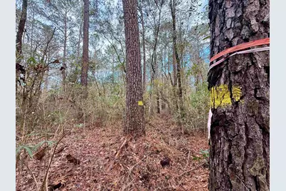 Tract B - Tbd Pennyroyal Rd., Georgetown, SC 29440 - Photo 20