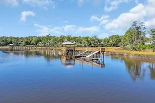 1506 Coastal Cv Ln, Calabash, NC 28467 - Photo 68