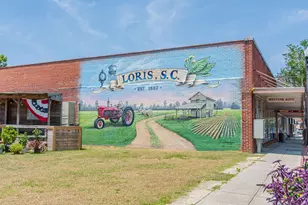 4935 Meadow St, Loris, SC 29569 - Photo 58