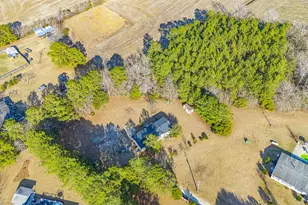 2179 Jasmine Rd, Loris, SC 29569 - Photo 34