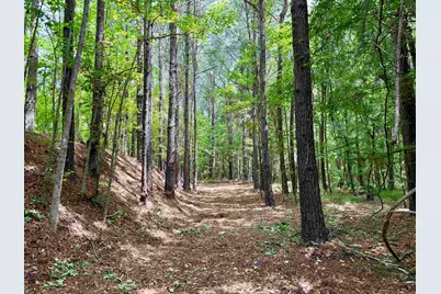 18 Acres - Tbd Driffin Ln, Salters, SC 29590 - Photo 16