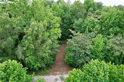 18 Acres - Tbd Driffin Ln, Salters, SC 29590 - Photo 8