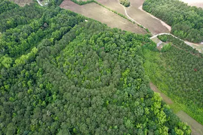 18 Acres - Tbd Driffin Ln, Salters, SC 29590 - Photo 4